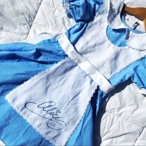 Disney Alice in Wonderland Costume